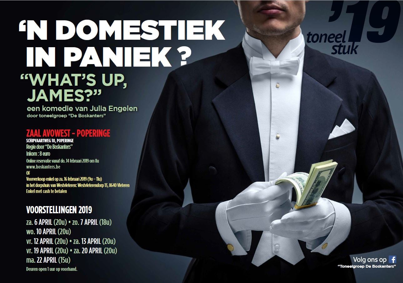 Affiche 'n Domestiek in paniek?